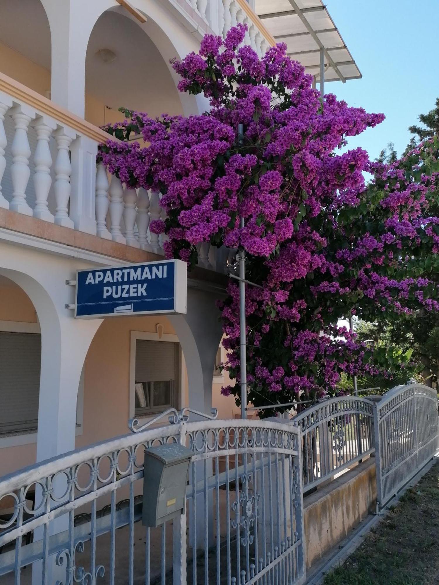 Apartmani Puzek Bibinje Exterior photo